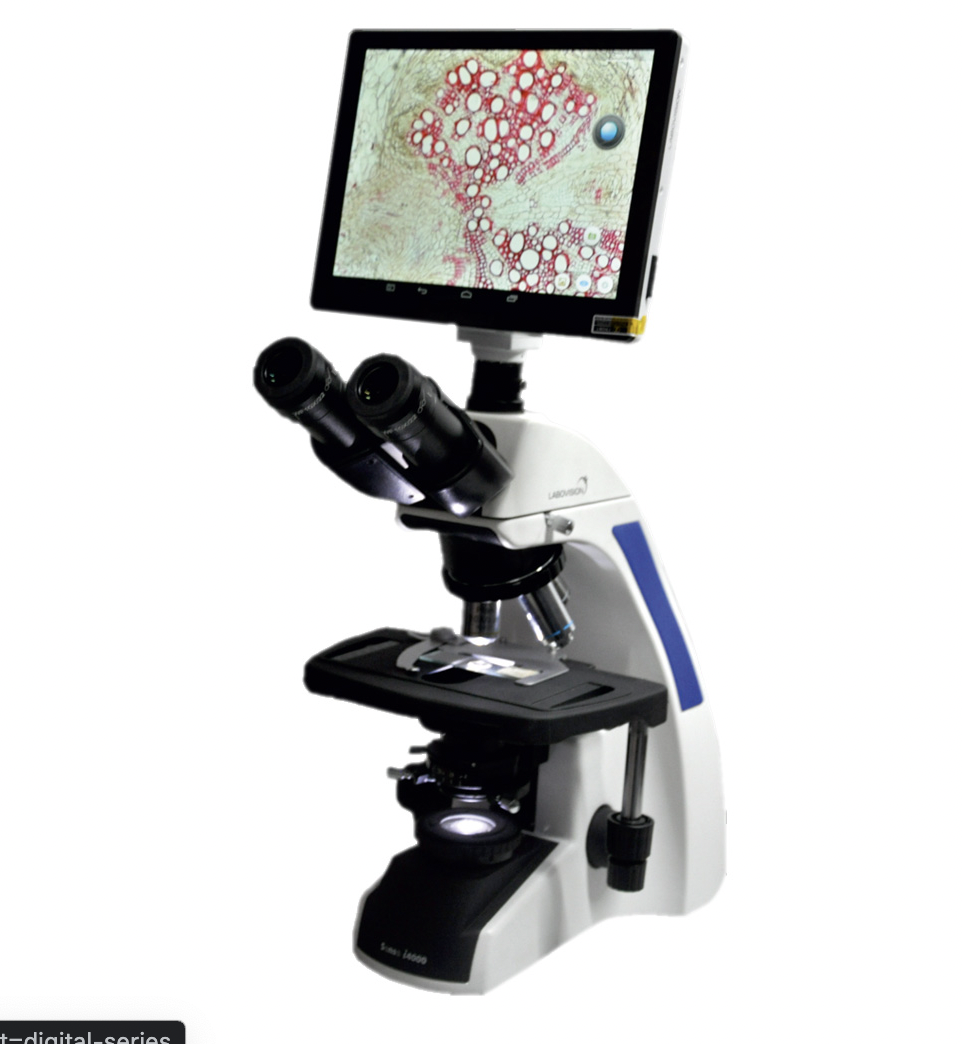 Trinocular Microscope